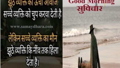 Sai-Suvichar Motivational-Quotes-In-Hindi, jhuthe vykti ki unchi awaj sacche vyakti ko chup karwa deti hai