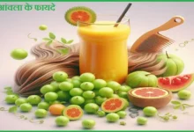 Gooseberry Amla Benefits