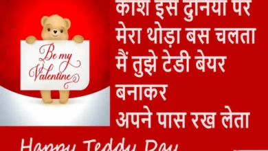 Happy-Teddy-Day-2024-love-messages-for-her-him-Quotes-Teddy-day-love-shayari-in-hindi-images-1