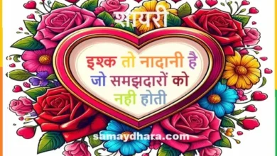 Ishq Love Sayaris  Shayar-Ki-Shayari , ishq to nadani hai jo samajhdaron ko nahi hoti