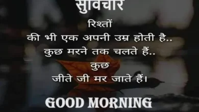 Thursday-Thought-Sai-Status-Motivational-Positive-Quotes, rishto ki bhi ek apni umr hoti hai kuchh marne tak chalte hai kuchh jete ji mar jate hai