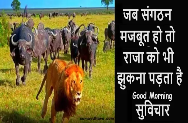 Sunday-Status-thought-good-morning-inspirational-positive-motivation-quotes, jab sangathan majbut ho to raja ko bhi jhukana padata hai