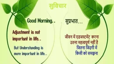 Monday-Motivational-Thoughts Positive-Quotes , jeevan me adjustment karna utna mahtvpurn nahi hai jitna jindagi me kisi ko smajhna