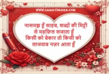 Sayaris In Hindi Love Shayri, nasamajh hun sahab shabdon ki mitti se mehfil sajata hun kisi ko bekar to kisi ko lajwaab nazar aata hun