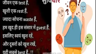 Sunday Status thoughts Quotes Vibes, , jeevan ek test hai khushi ek rest hai jyada sochna waste hai...