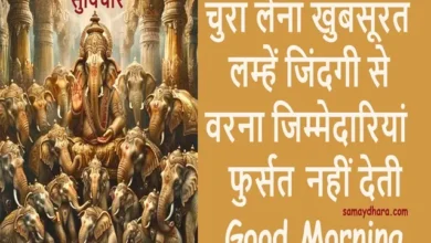 Tuesday Thought Status Quotes In Hindi , chura lena khubsurat lamhe jindagi se varna jimmedariyan fursat nahi deti