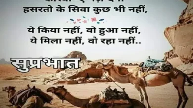 Thought Of The Day Motivational Quotes Status Vibes In Hindi, karvaan e jindagi hasaraton ke siva kuch bhi nahi