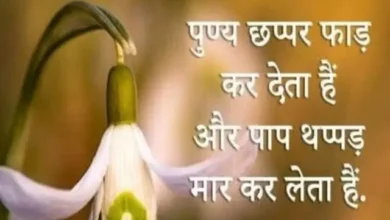 Wednesday-Thought-Prernadayak-Status-Positive-Vibes-Thursday-Motivational-Quates-In-Hindi, punya chhappar fad kar deta hai aur paap thappad mar kar leta hai