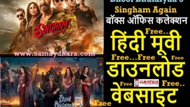 Singham-Again Bhool-Bhulaiyaa-3  Box-Office-Collection News Updates in Hindi