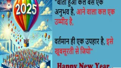 Happy New Year's eve wishes-happy new year quotes 2025-Hindi Shayari-new year card-1