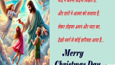 Merry Christmas 2024 quotes-wishes-merry christmas cards-messages-Hindi Shayari-8