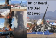 South Korea Plane Clash 179 People Died 2 Saved,