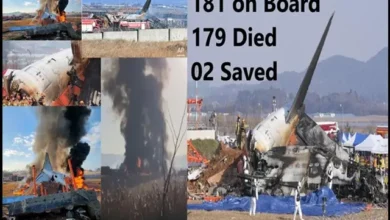 South Korea Plane Clash 179 People Died 2 Saved,