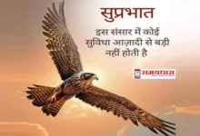 Wednesday Thoughts Thursday Status RatanTata Thought in Hindi English,