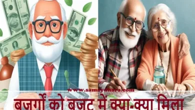 What Senior Citizens Get In The Budget bujarago ke fayade,