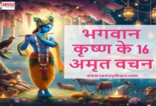 Saturday-Thoughts  Shri-Krishna-Janmashtami-Life-Lessons-2025, Krishna Janmashtami 2025, Shri Krishna Thoughts, Janmashtami Quotes in Hindi, Krishna Teachings, Janmashtami 2025 Inspiration, Lord Krishna Motivational Thoughts, Janmashtami 2025 Messages, Shri Krishna Janmashtami Life Lessons, Krishna Philosophy 2025, Bhagavad Gita Krishna Quotes, Janmashtami 2025 Puja, Krishna Janmashtami Celebration 2025, Shri Krishna Wisdom, Janmashtami Hindi Quotes 2025, Krishna Janmashtami Vichar