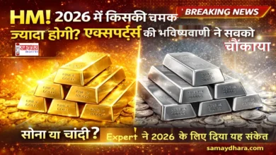 2026-Gold-Silver-Expert-View, 2026 में निवेशकों के लिए बड़ा संकेत! एक्सपर्ट्स ने एक धातु को बताया गेम-चेंजर, दूसरी बना सकती है रिकॉर्ड। पढ़ें पूरी रिपोर्ट