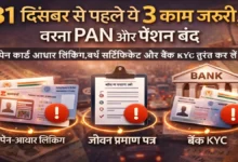 31-December Pan-Aadhaar-Link-Pension-KYC, 31दिसंबर से पहले ये 3 जरूरी काम नहीं किए तो आपका PAN Card inactive हो सकता है और पेंशन भी रुक सकती