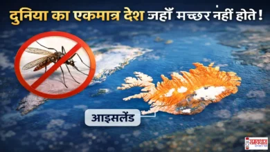 mosquito-free-country-gk-hindi, क्या आप जानते हैं दुनिया में एक ऐसा देश है जहाँ एक भी मच्छर नहीं पाया जाता? जानिए इस हैरान करने वाले GK सवाल का जवाब।