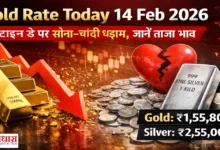 Gold Rate Today 14 Feb 2026