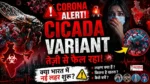Cicada Variant Corona India Alert: नया Covid variant तेजी से फैल रहा, India में new wave का खतरा? symptoms और बचाव जानें