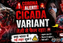 Cicada Variant Corona India Alert: नया Covid variant तेजी से फैल रहा, India में new wave का खतरा? symptoms और बचाव जानें