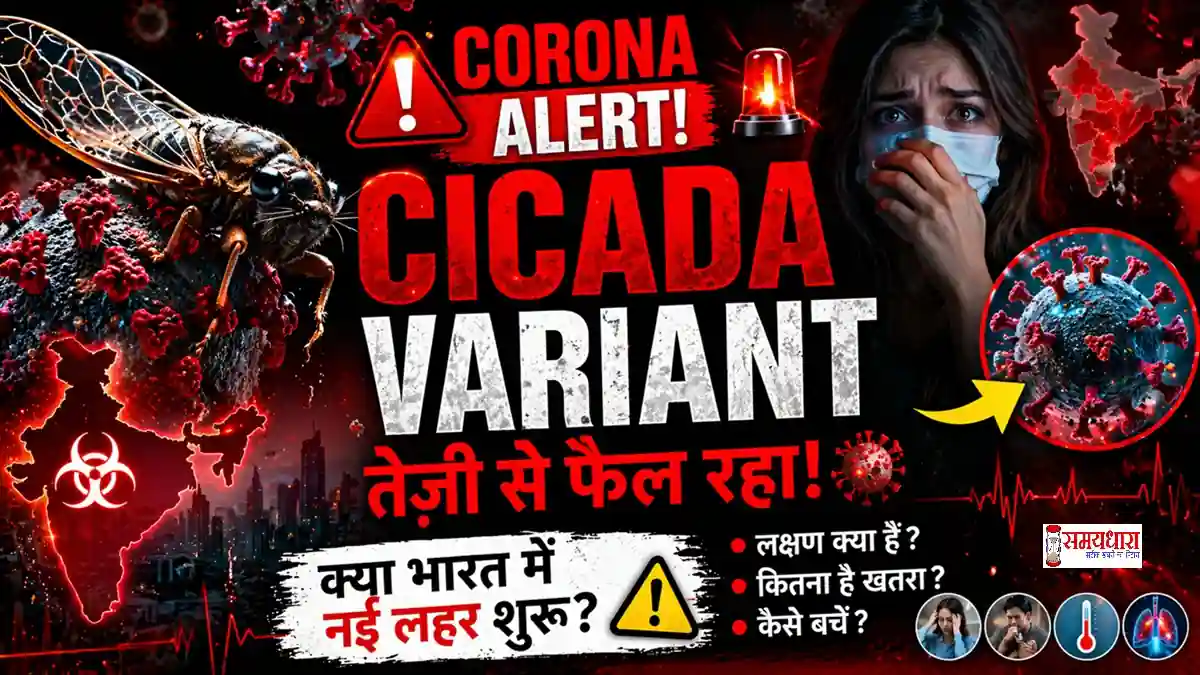 Cicada Variant Corona India Alert: नया Covid variant तेजी से फैल रहा, India में new wave का खतरा? symptoms और बचाव जानें