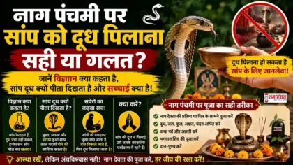 Nag Panchami Snake Milk : नाग पंचमी पर सांप को दूध पिलाना सही या गलत? जानें ऐसा करने से क्या होता है